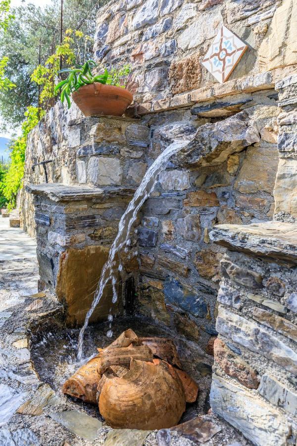 Villa Agia Marina Skopelos Exteriér fotografie