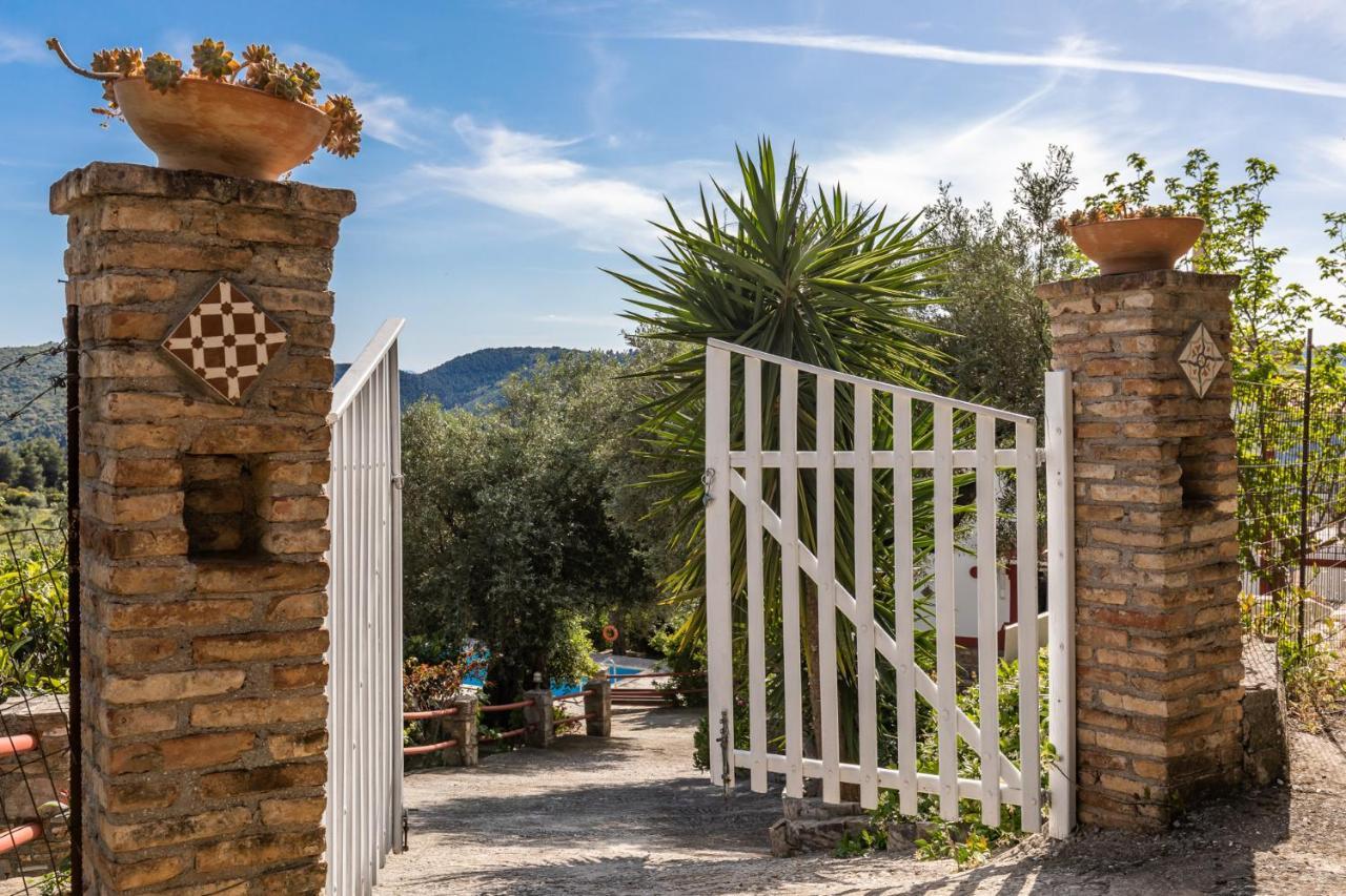 Villa Agia Marina Skopelos Exteriér fotografie