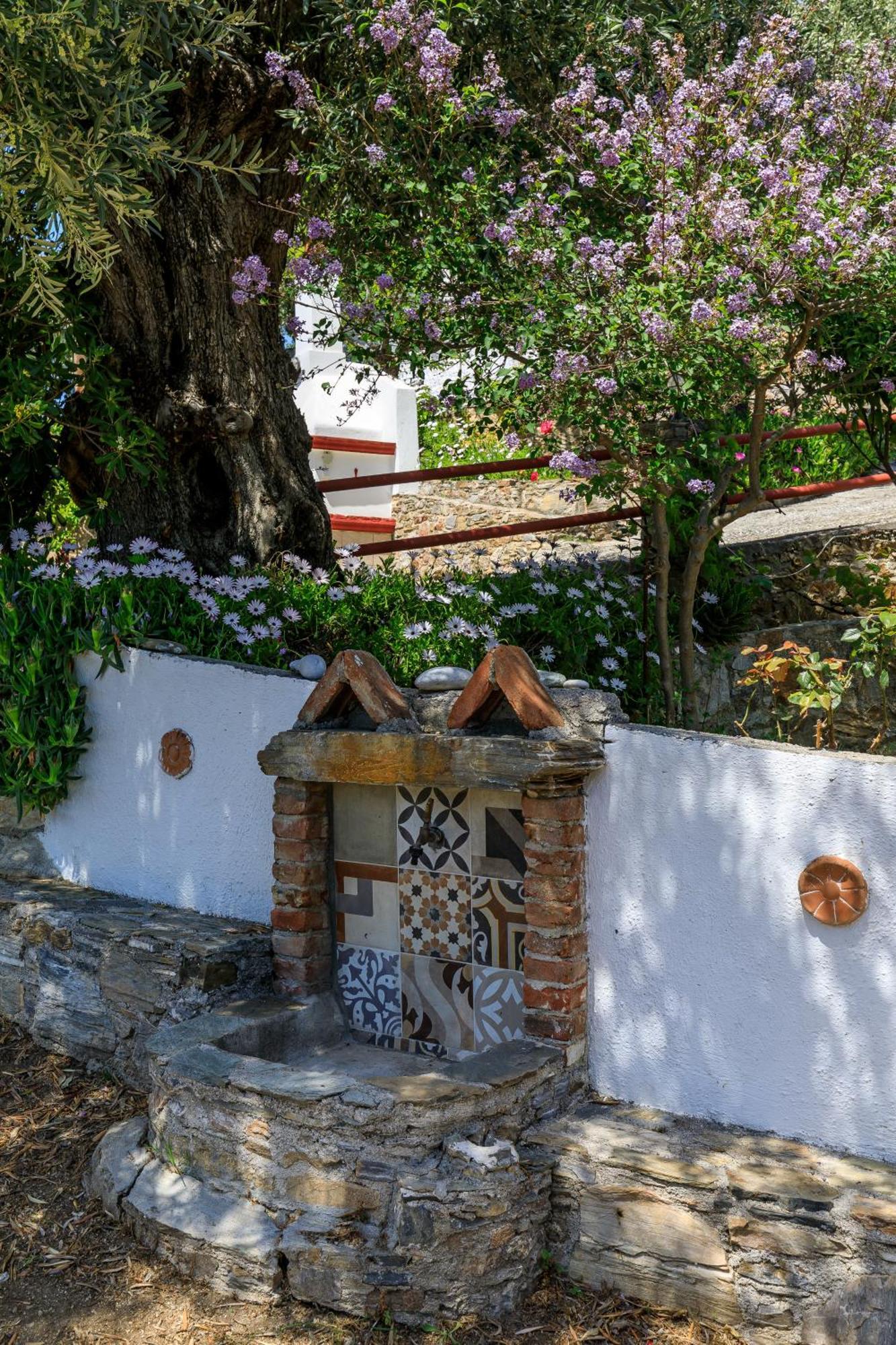 Villa Agia Marina Skopelos Exteriér fotografie
